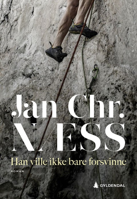 Han ville ikke bare forsvinne - roman