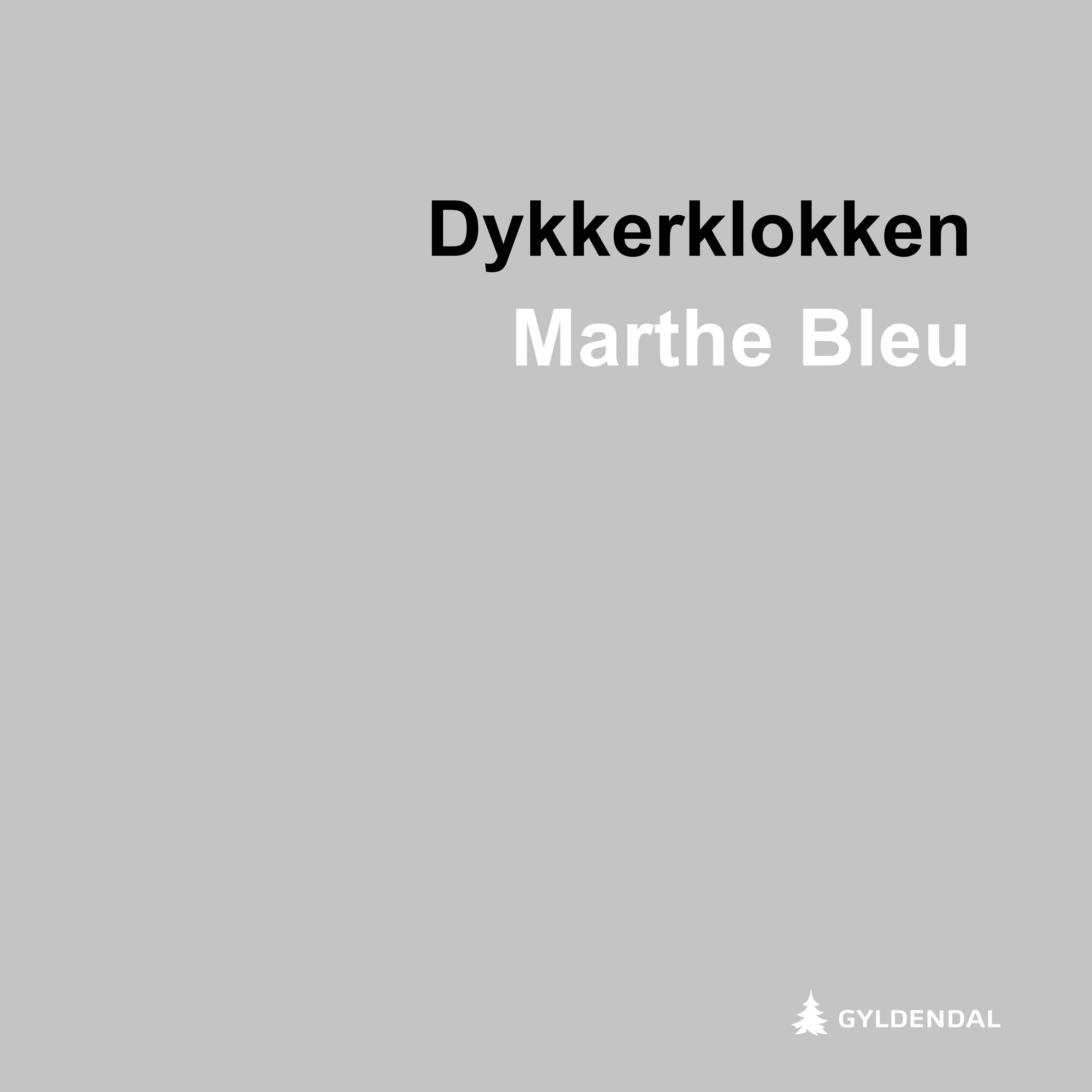Dykkerklokken - roman