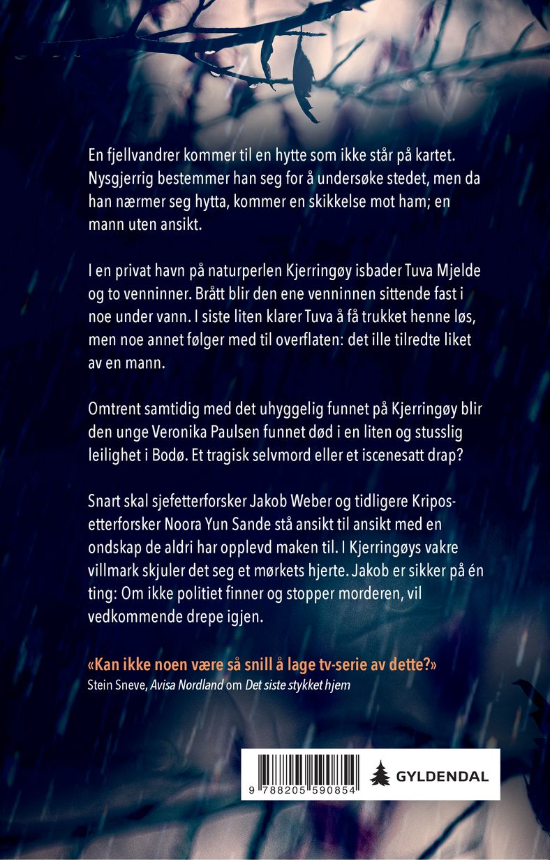 Natten reiser alene