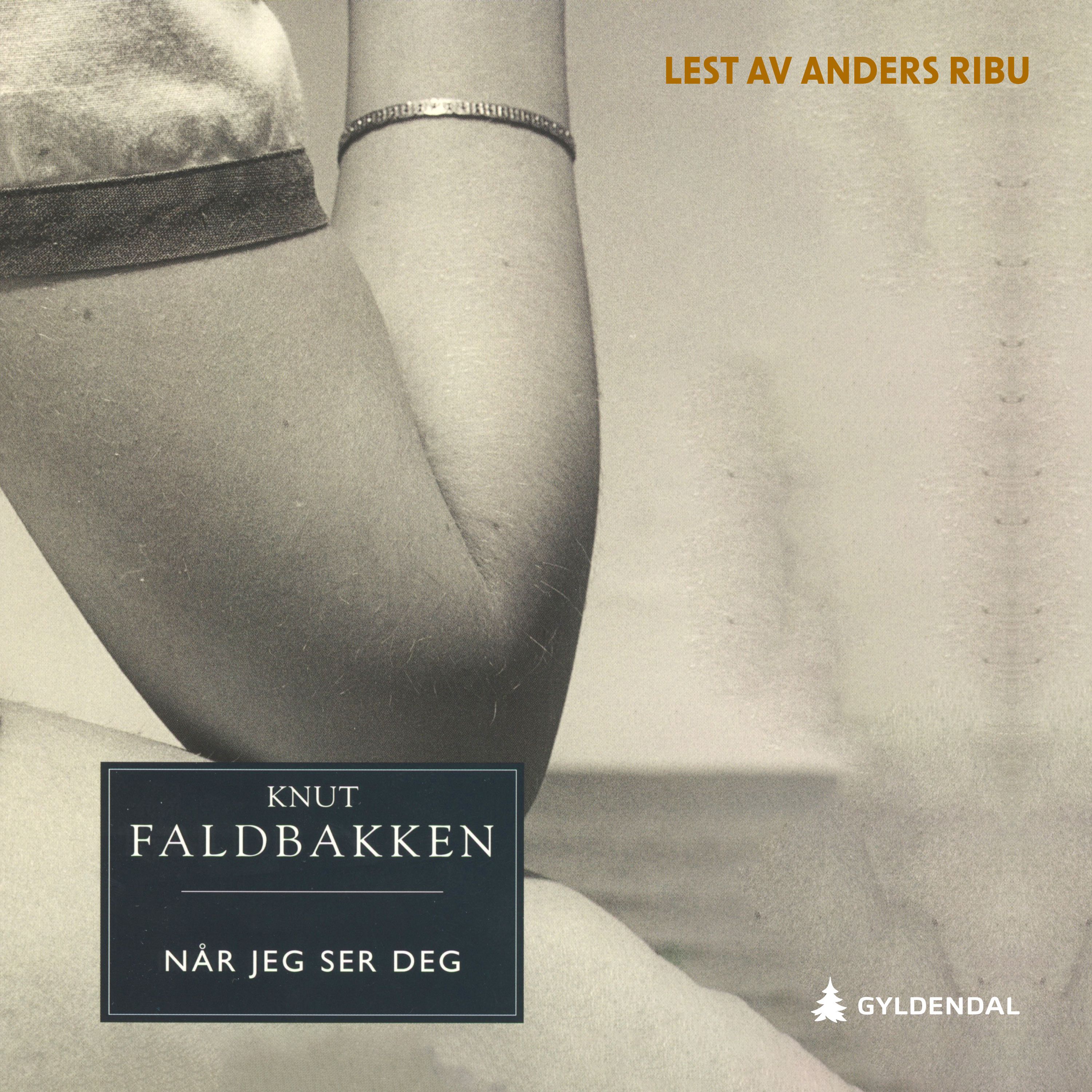 Når jeg ser deg - roman