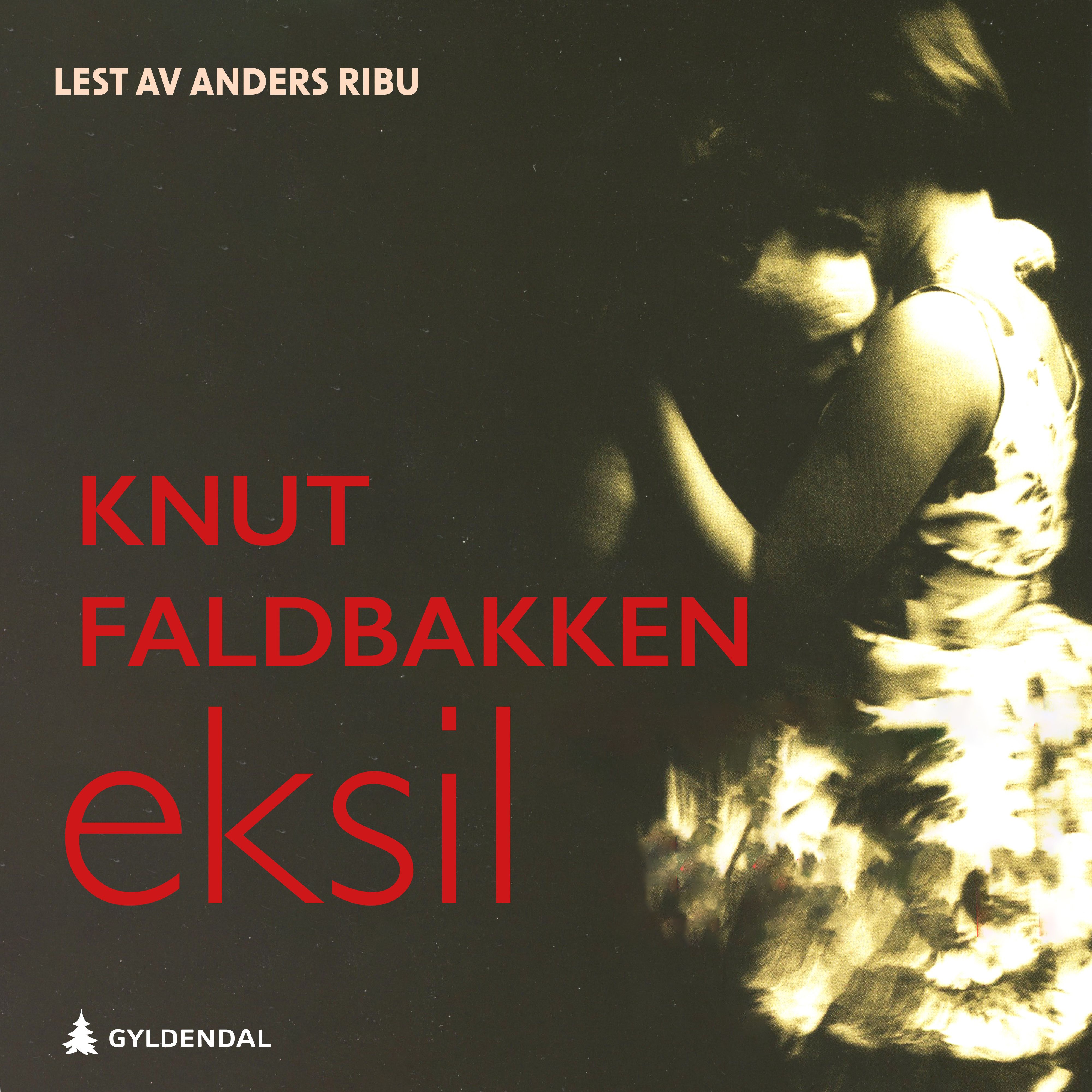 Eksil - roman
