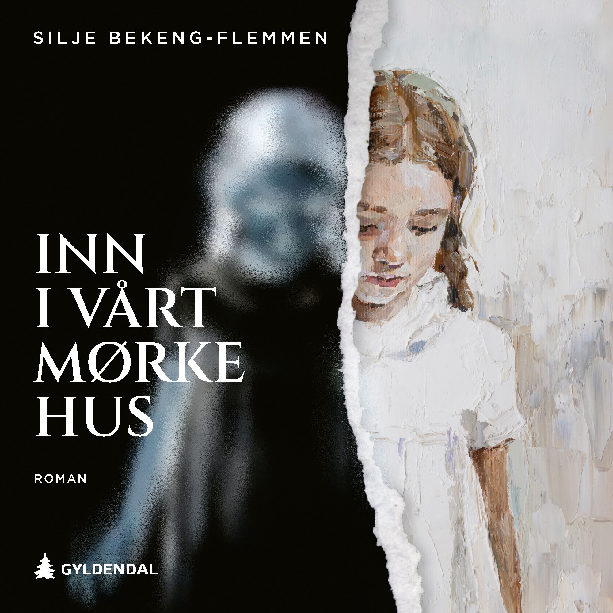 Inn i vårt mørke hus