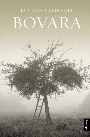 Bovara - roman