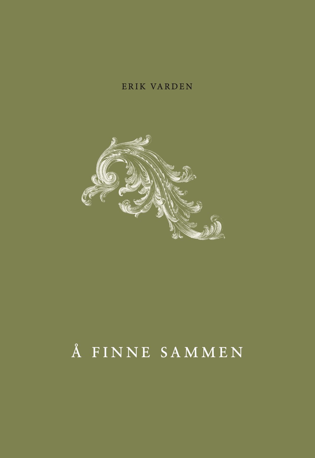 Å finne sammen - politiske innspill