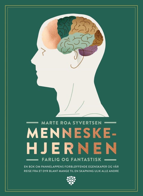 Menneskehjernen - farlig og fantastisk