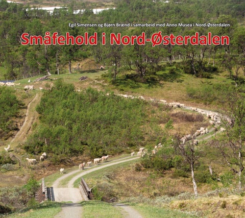 Småfehold i Nord-Østerdalen - - en viktig primærnæring