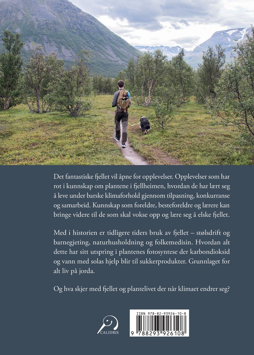Det fantastiske fjellet