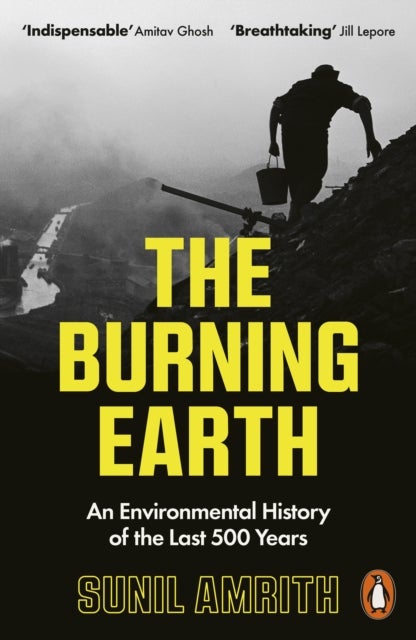 The Burning Earth - An Environmental History of the Last 500 Years