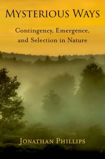 Mysterious Ways - Contingency, Emergence, and Selection in Nature