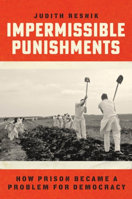 Impermissible Punishments – How Prison Became a Problem for Democracy - How Prison Became a Problem for Democracy