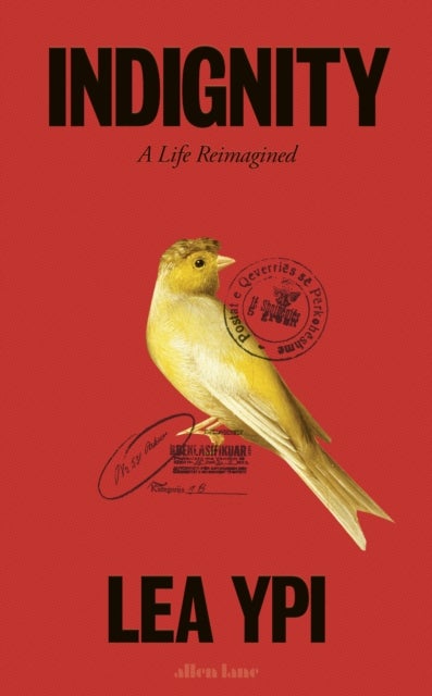 Indignity - A Life Reimagined