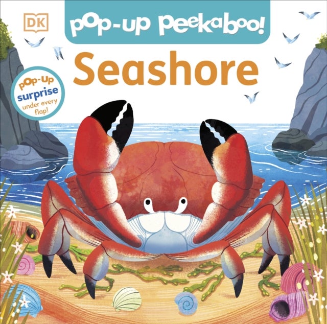 Pop-Up Peekaboo! Seashore - A Beachy Surprise Under Every Flap!