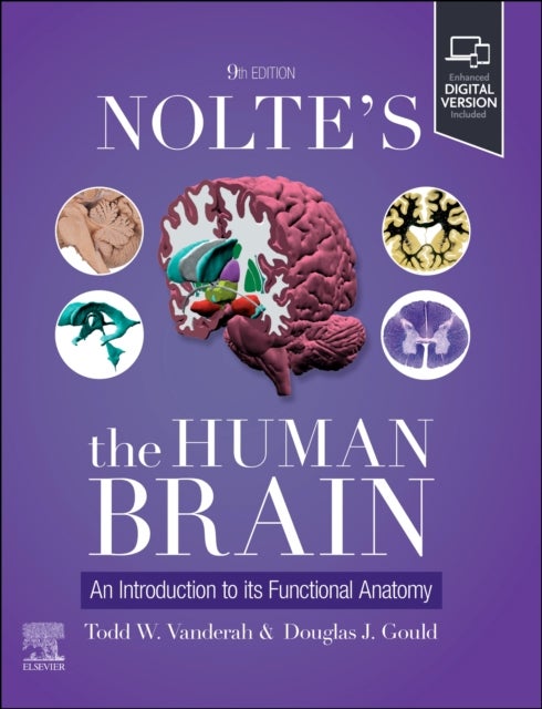 Nolte's The Human Brain - An Introduction to its Functional Anatomy