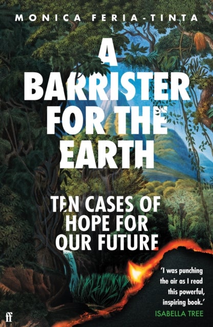 Barrister for the Earth - Ten Cases of Hope for Our Future