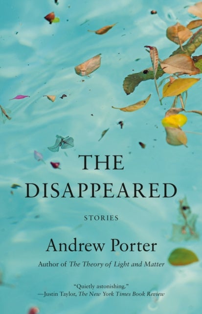 The Disappeared - Stories