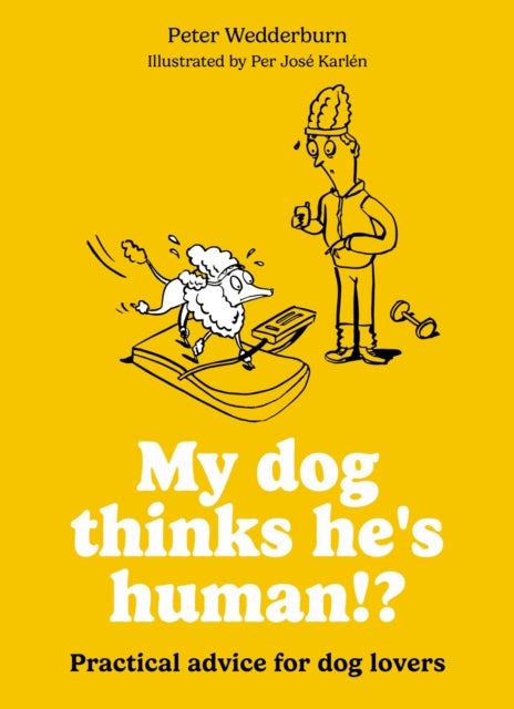 My dog thinks he''s human!? - Practical advice for dog lovers