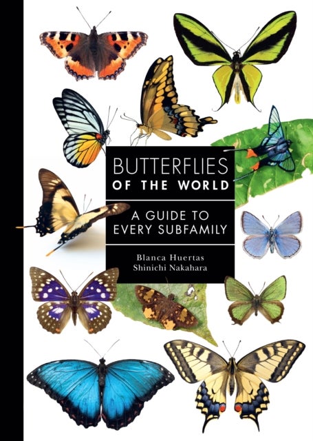 Butterflies of the World - A Guide to Every Subfamily