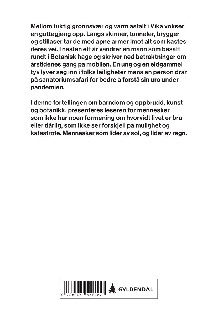 Vi lider av sol, vi lider av regn