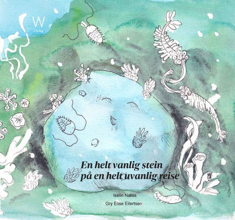 En helt vanlig stein på en helt uvanlig reise
