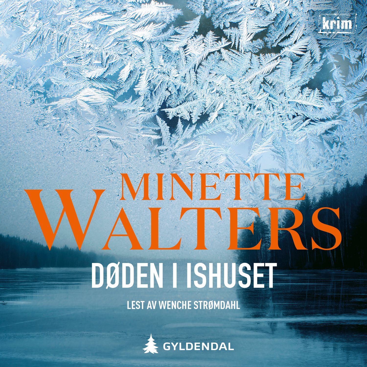 Døden i ishuset