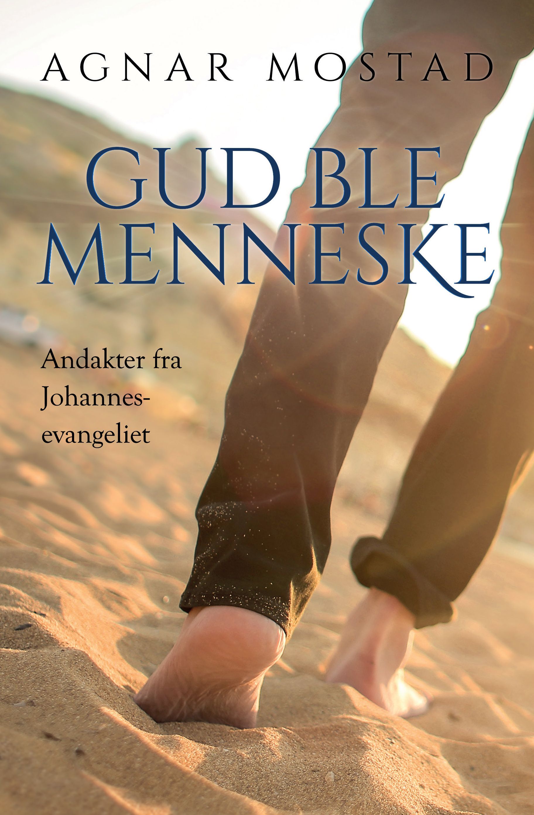 Gud ble menneske - andakter fra Johannes evangeliet