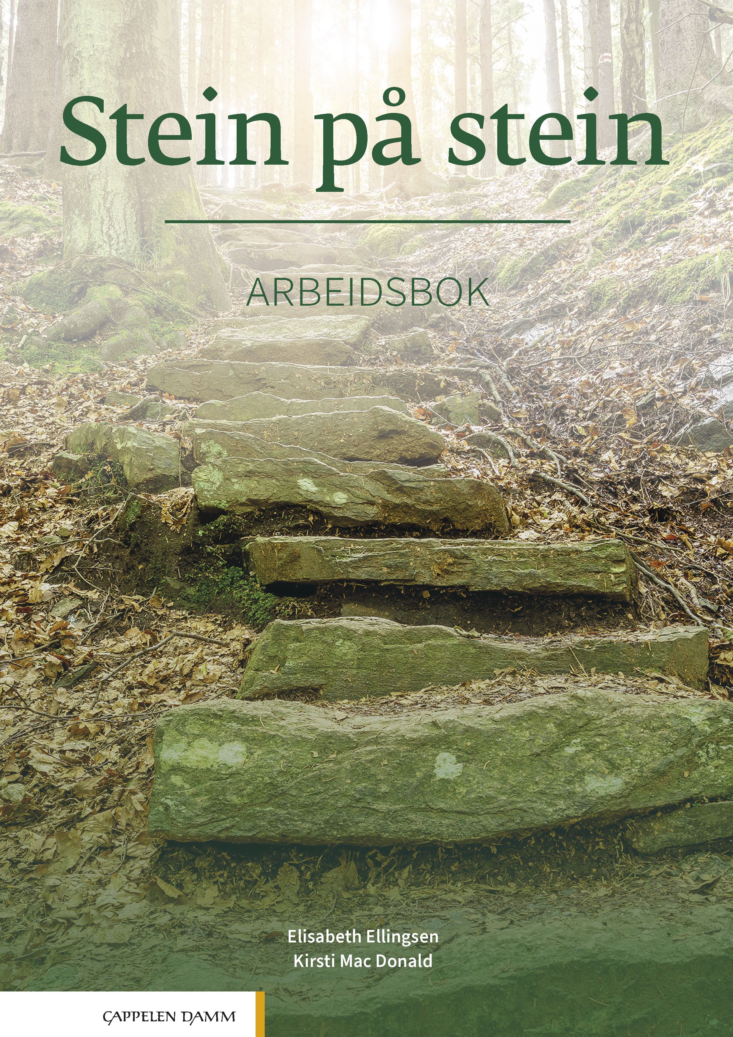Stein på stein - Arbeidsbok