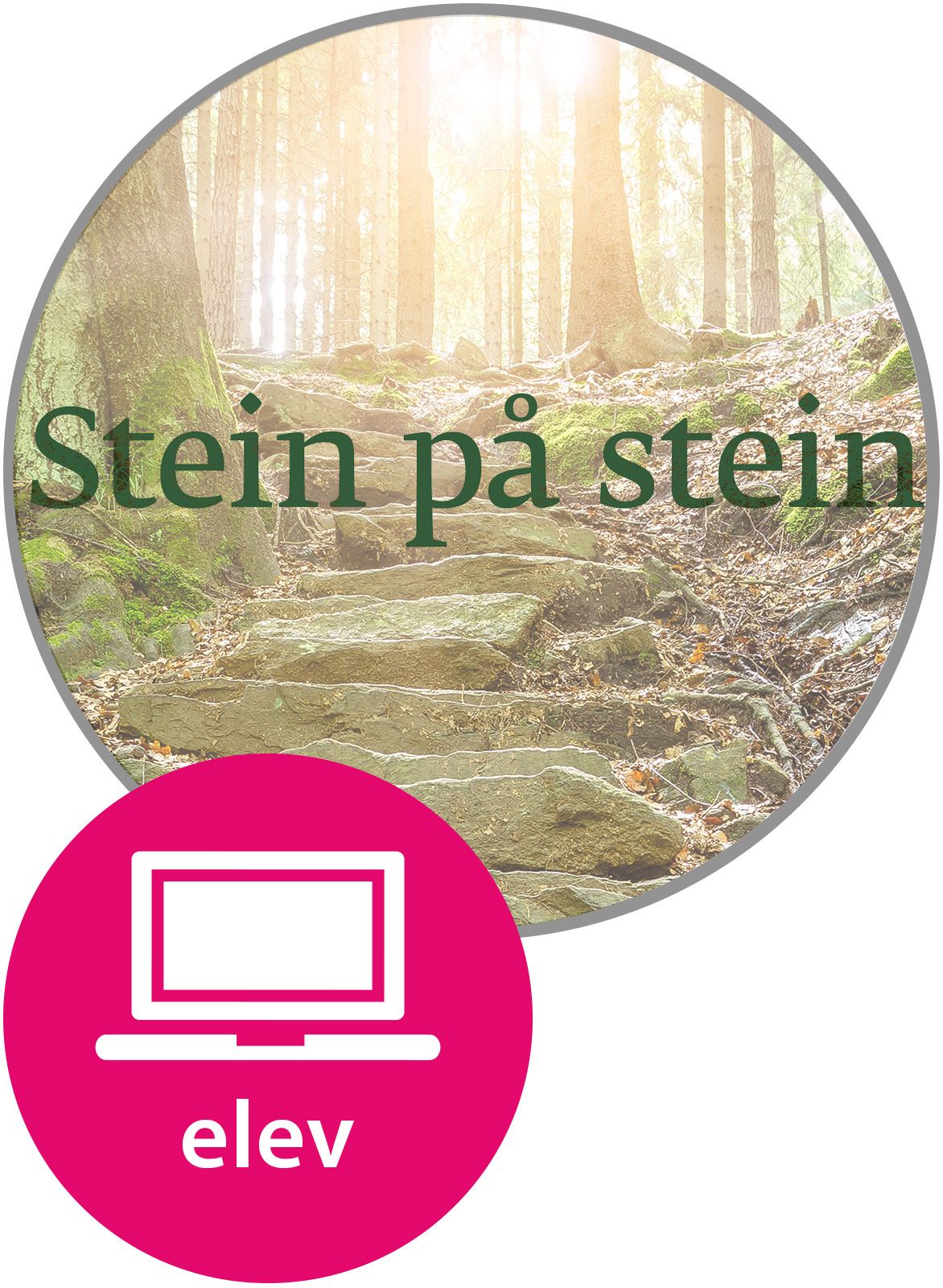 Stein på stein Digital Elevnettsted - norsk og samfunnskunnskap for voksne innvandrere (B1)