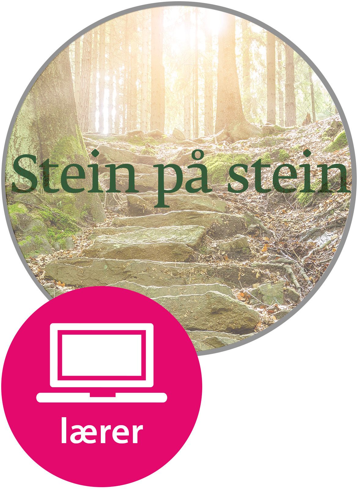 Stein på stein Digital Lærernettsted - norsk og samfunnskunnskap for voksne innvandrere, B1