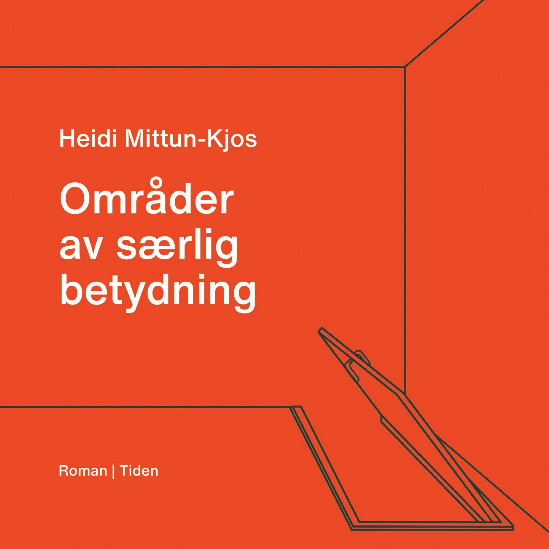 Områder av særlig betydning - roman