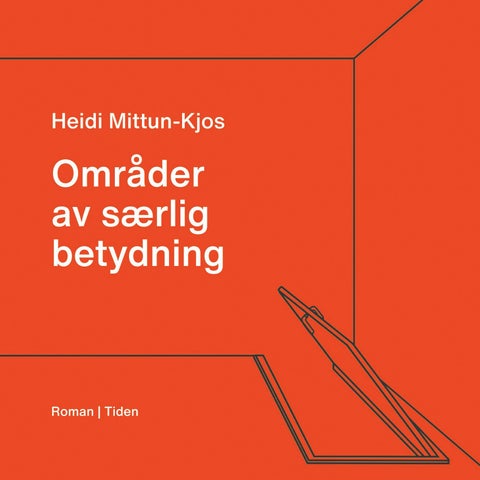 Områder av særlig betydning - roman