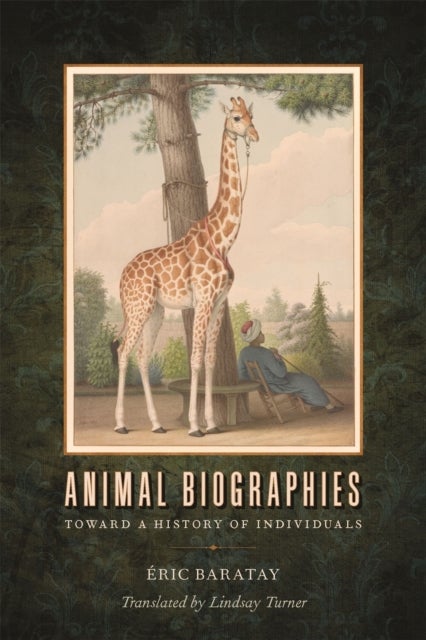 Animal Biographies - Toward a History of Individuals