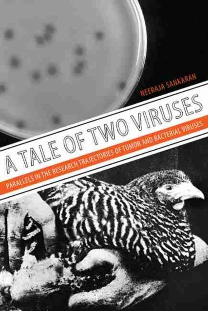 A Tale of Two Viruses - Parallels in the Research Trajectories of Tumor and Bacterial Viruses