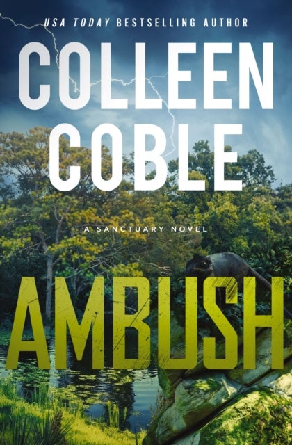 Ambush - A Small-Town Romantic Suspense