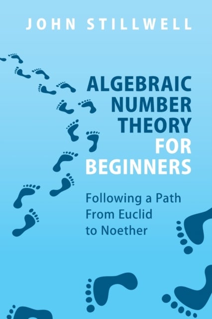 Algebraic Number Theory for Beginners - Following a Path From Euclid to Noether