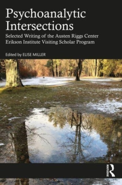 Psychoanalytic Intersections - Selected Writing of the Austen Riggs Center Erikson Institute Visiting Scholar Program