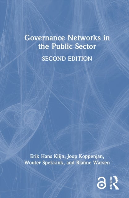 Governance Networks in the Public Sector