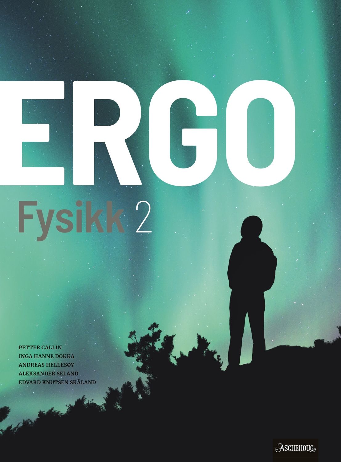 Ergo Fysikk 2 vg3 Unibok - Grunnbok : programfaget fysikk for ST