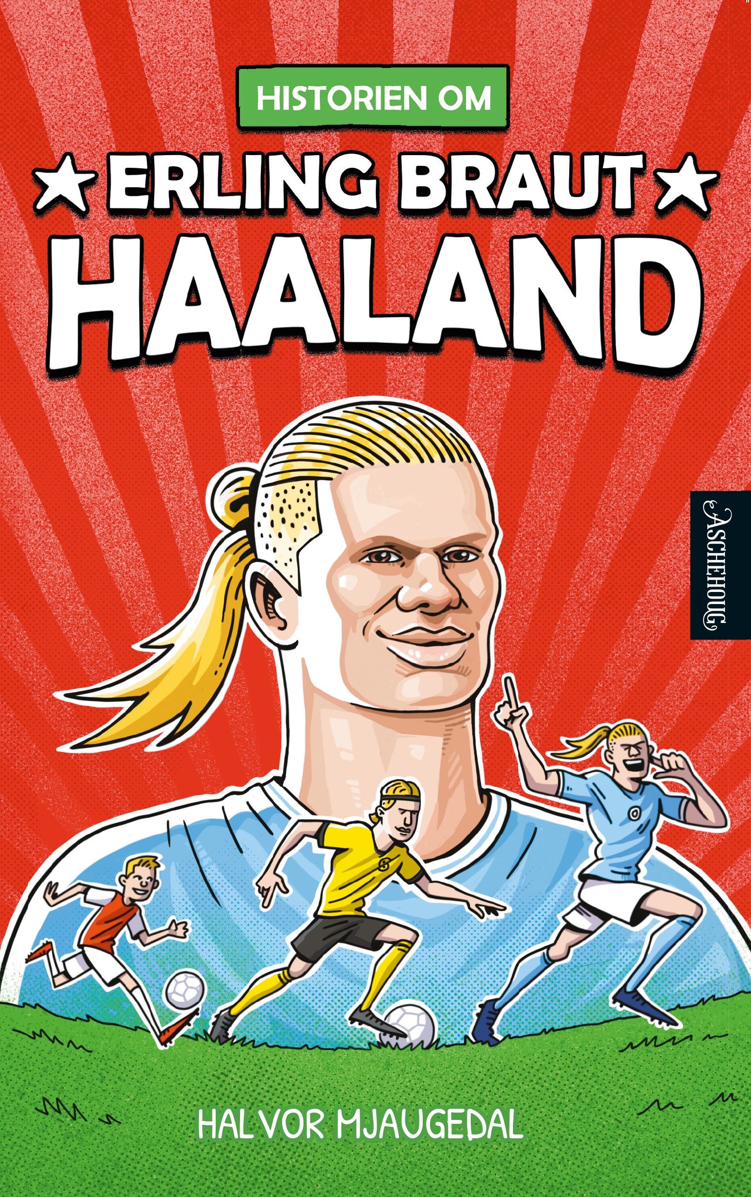 Historien om Erling Braut Haaland