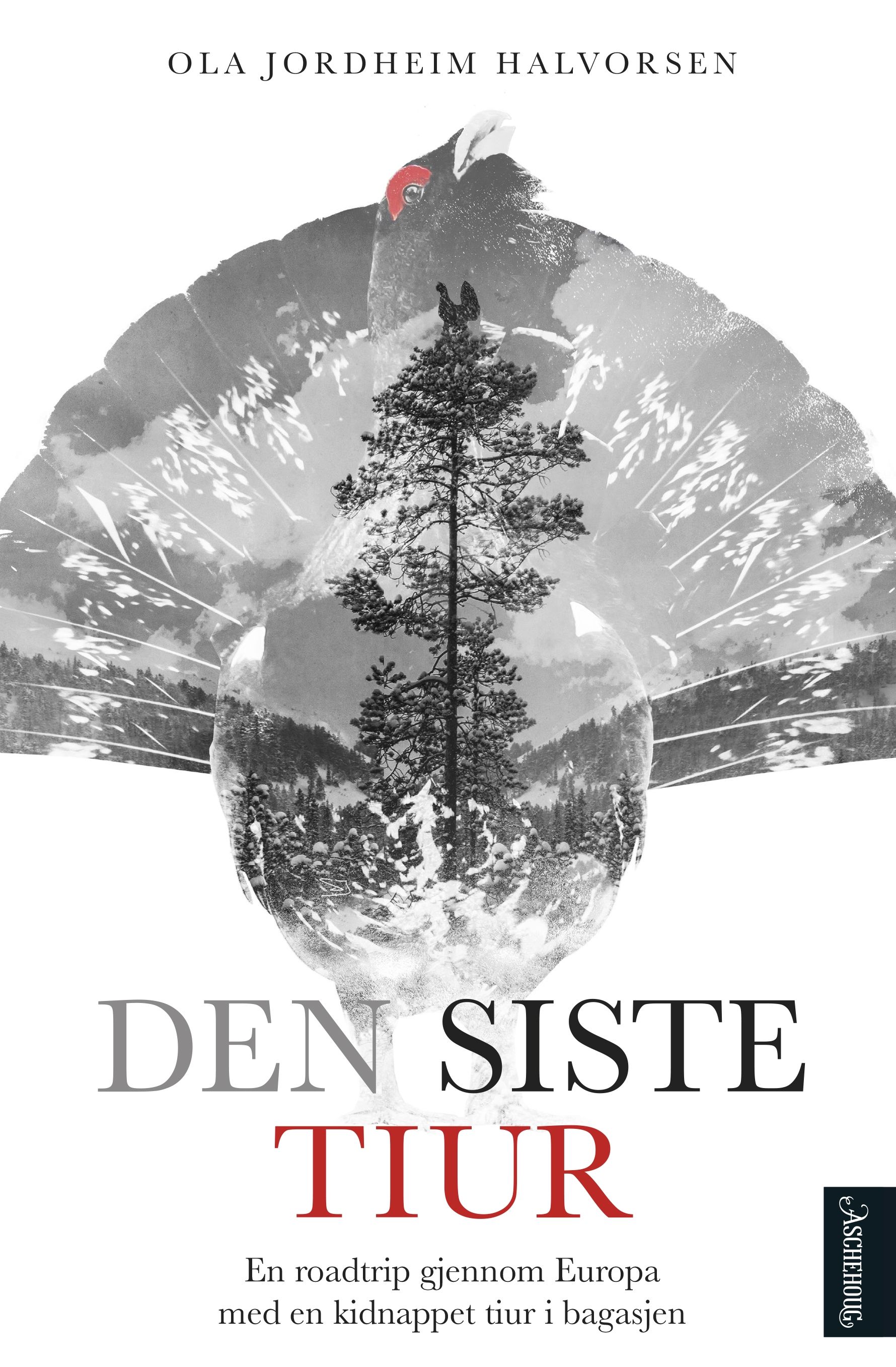 Den siste tiur - på roadtrip gjennom Europa med en kidnappet tiur i bagasjen