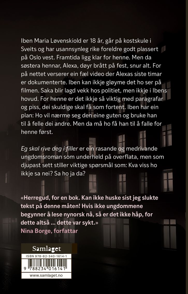 Eg skal rive deg i filler
