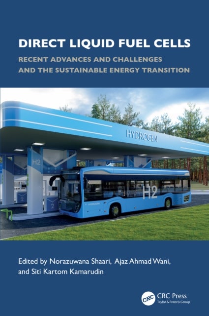Direct Liquid Fuel Cells - Recent Advances and Challenges and the Sustainable Energy Transition
