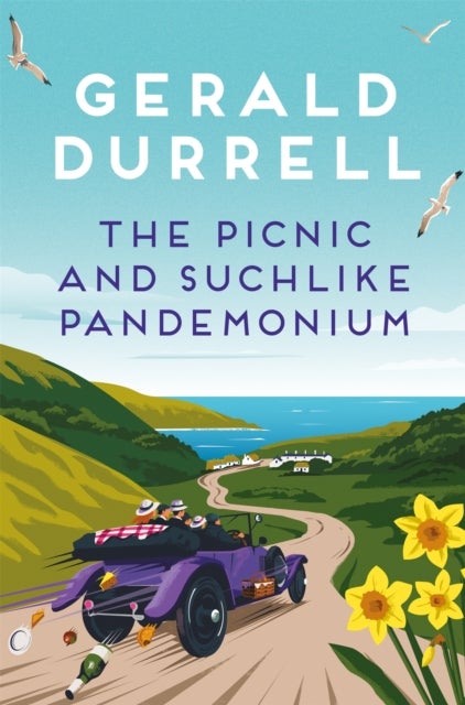 Picnic and Suchlike Pandemonium