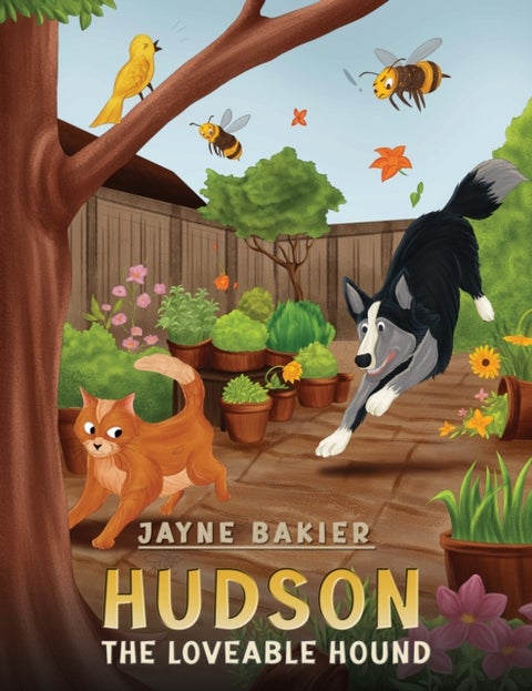 Hudson - The Loveable Hound
