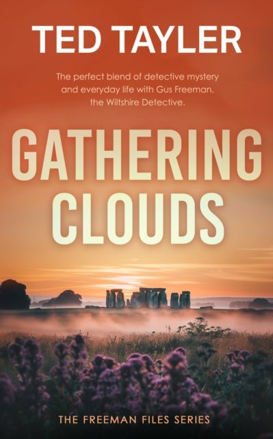 Gathering Clouds - A Cold Case Murder Mystery Series