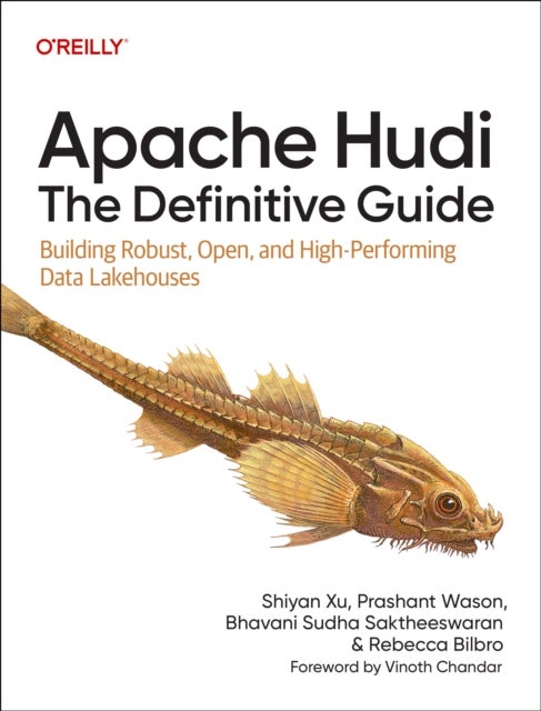 Apache Hudi – The Definitive Guide - Building Robust, Open, and High-Performing Data Lakehouses