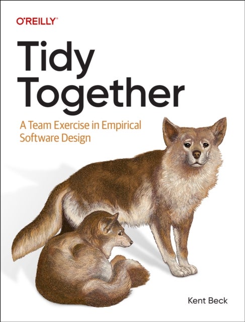 Tidy Together - Taming the Genie