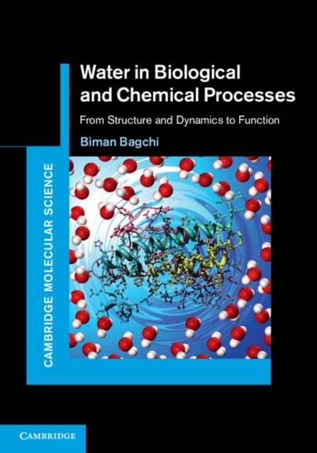 Water in Biological and Chemical Processes - From Structure and Dynamics to Function