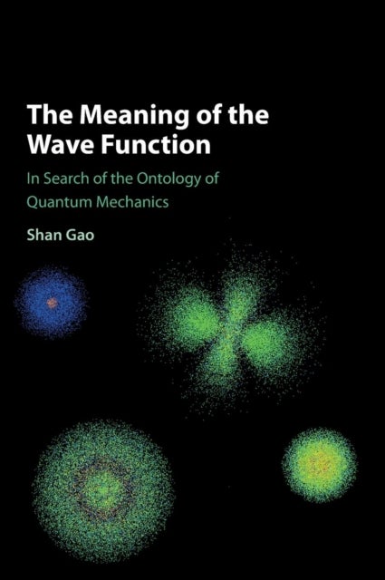 The Meaning of the Wave Function - In Search of the Ontology of Quantum Mechanics