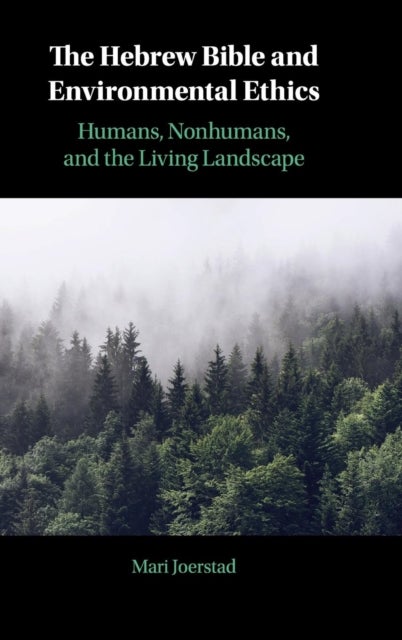 The Hebrew Bible and Environmental Ethics - Humans, NonHumans, and the Living Landscape
