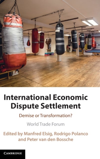 International Economic Dispute Settlement - Demise or Transformation?